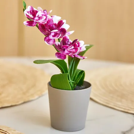 Signature Promenada Нэводари