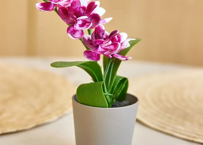 Signature Promenada Năvodari